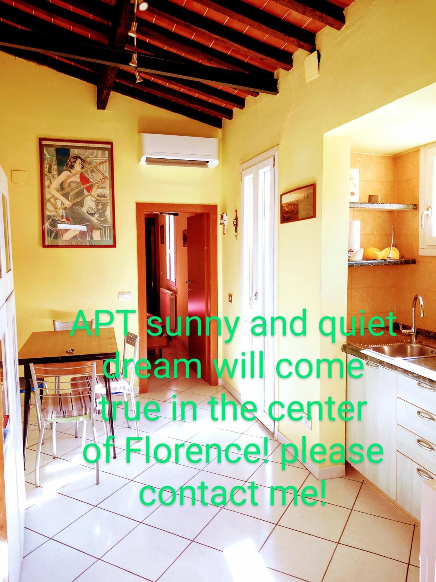 Apt Bright, Quiet! In The Center. Florenz Exterior foto